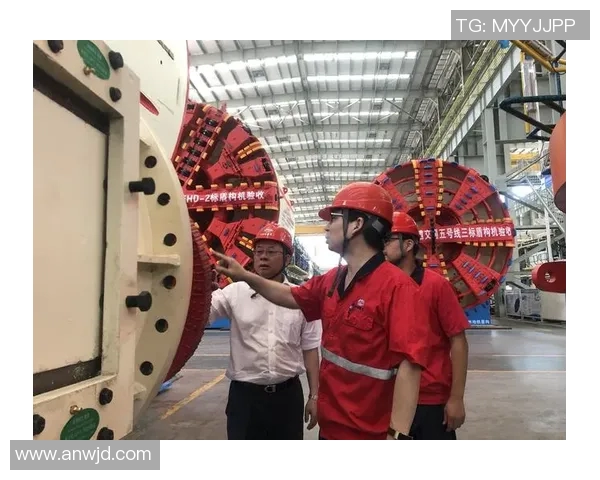 张帆的奋斗之路：从普通青年到行业领军人物的成长故事