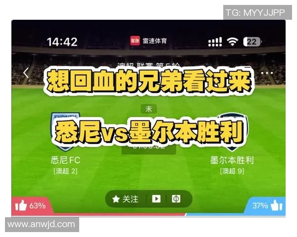 悉尼FC与墨尔本胜利的精彩对决分析及战术探讨
